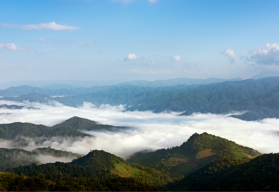 รูปภาพหลัก