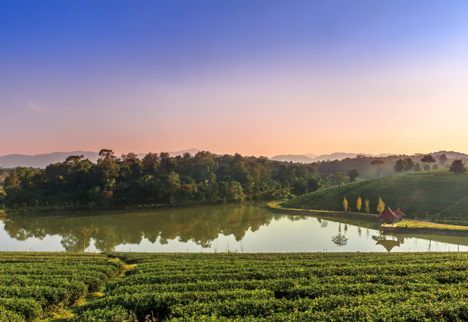 รูปภาพเสริม