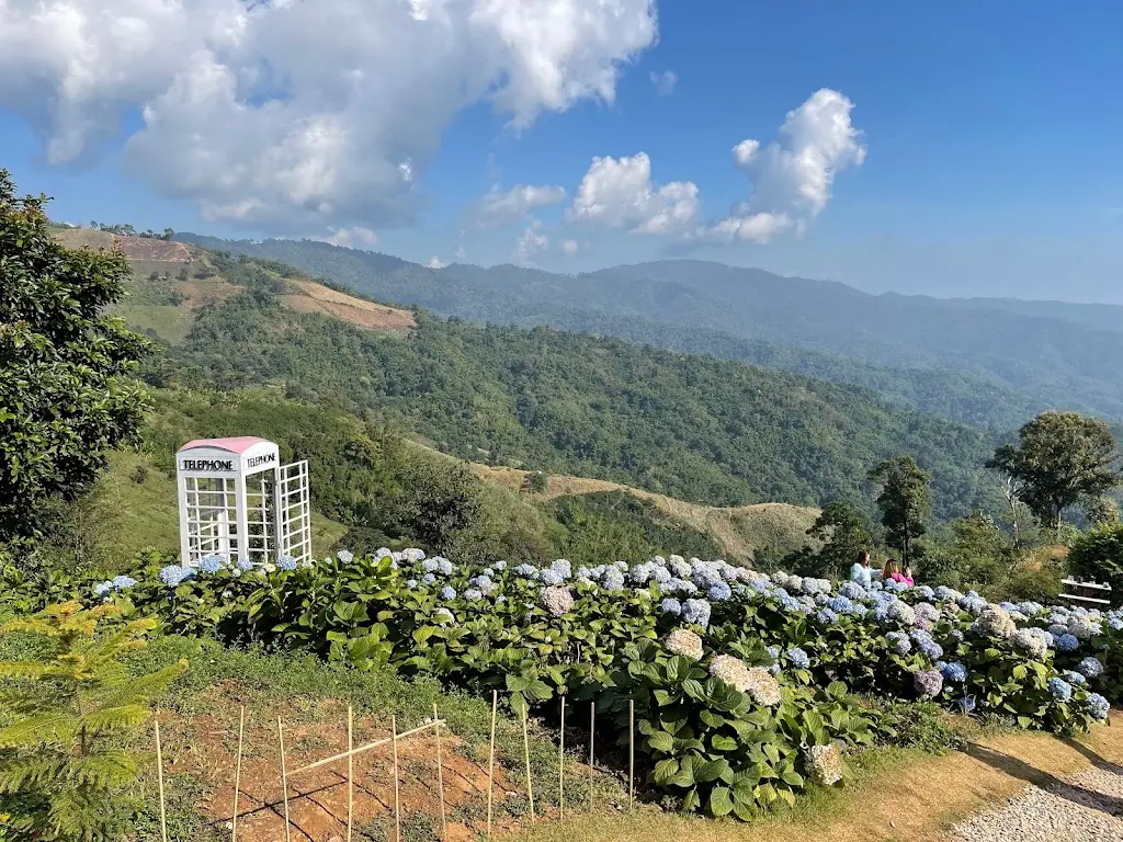 รูปภาพเสริม